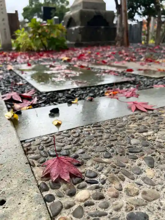 總社 和田八幡宮(福井県)