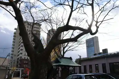 阿邪訶根神社の景色