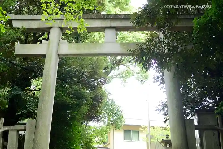 渋谷氷川神社の鳥居
