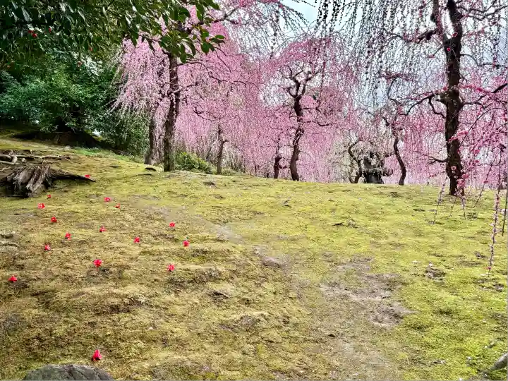 城南宮(京都府)