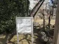 光源寺(東京都)