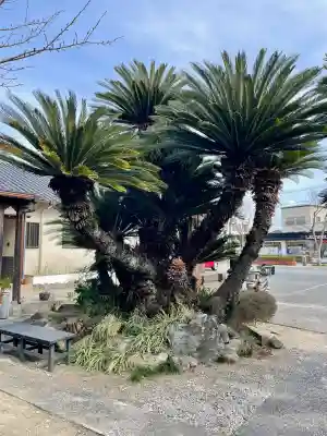 宝福寺(静岡県)