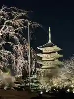 東寺(教王護国寺)の{uncategorized: "未分類", other: "その他", undefined: "問題あり", building: "その他建物", grave: "お墓", sacred_gate: "鳥居", guardian: "狛犬", statue: "像", buddha: "仏像", history: "歴史", nature: "自然", garden: "庭園", animal: "動物", pagoda: "塔", temizu: "手水舎", mountain_gate: "山門・神門", sanctuary: "本殿・本堂", subordinate: "末社・摂社", art: "芸術", scenery: "景色", jizo: "地蔵", ema: "絵馬", goshuin: "御朱印", omikuji: "おみくじ", items: "授与品その他", amulet: "お守り", goshuincho: "御朱印帳", eats: "食事", festival: "お祭り", votive_dance: "神楽", shichigosan: "七五三参", wedding: "結婚式", experience: "体験その他", initially: "初詣", around: "周辺", anti_infection: "感染症対策"}