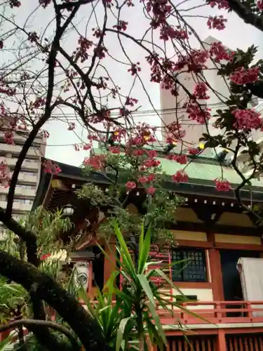 秋葉神社(東京都)