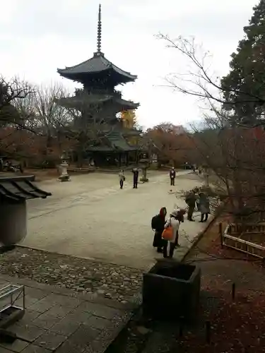 真正極楽寺（真如堂）の景色