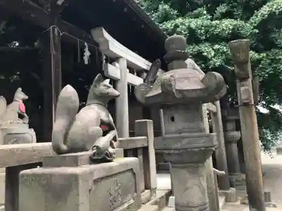 被官稲荷神社の狛犬