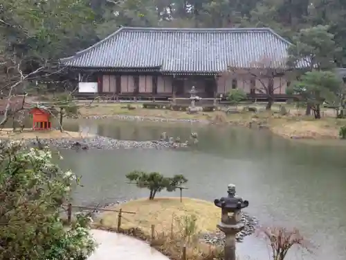 浄瑠璃寺の庭園