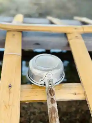 福井神社(福井県)