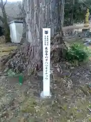 長谷寺の自然