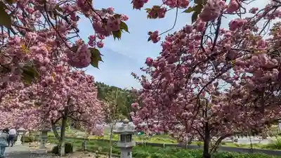 伊香具神社(滋賀県)