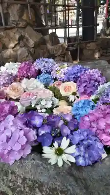 発寒神社の手水舎