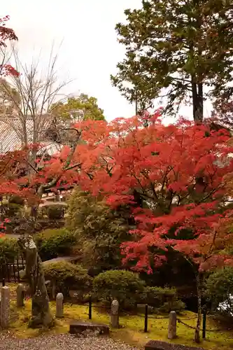 真正極楽寺（真如堂）(京都府)