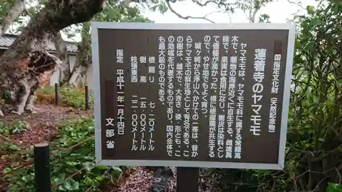 蓮着寺のその他建物