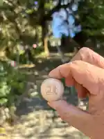 龍尾神社(静岡県)