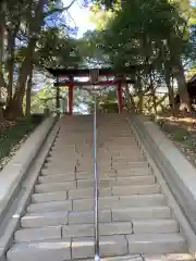 氷川女體神社(埼玉県)