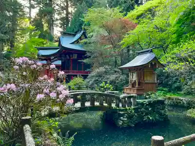 花園神社(茨城県)