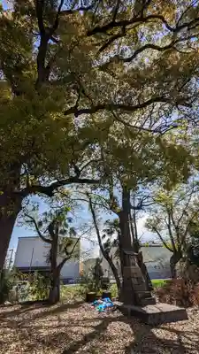 常磐神社(京都府)