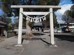 日吉浅間神社の鳥居