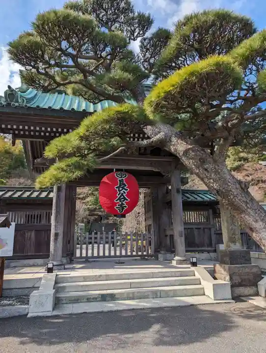長谷寺(神奈川県)