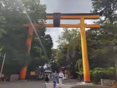 川越氷川神社の鳥居