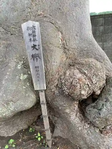 相模国総社六所神社(神奈川県)