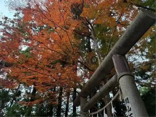 秩父御嶽神社(埼玉県)
