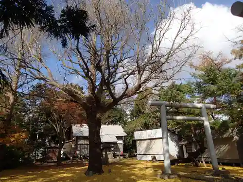 有川大神宮の鳥居