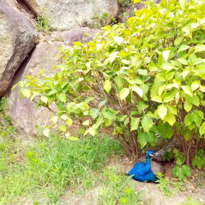 楽法寺(雨引観音)(茨城県)