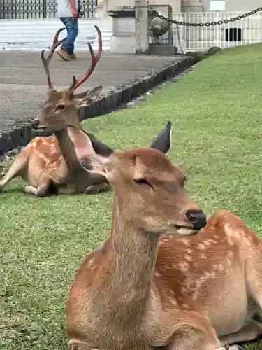 興福寺(奈良県)
