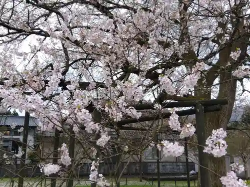 霊泉寺(福井県)