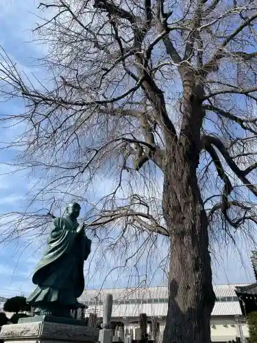 伝法寺の{uncategorized: "未分類", other: "その他", undefined: "問題あり", building: "その他建物", grave: "お墓", sacred_gate: "鳥居", guardian: "狛犬", statue: "像", buddha: "仏像", history: "歴史", nature: "自然", garden: "庭園", animal: "動物", pagoda: "塔", temizu: "手水舎", mountain_gate: "山門・神門", sanctuary: "本殿・本堂", subordinate: "末社・摂社", art: "芸術", scenery: "景色", jizo: "地蔵", ema: "絵馬", goshuin: "御朱印", omikuji: "おみくじ", items: "授与品その他", amulet: "お守り", goshuincho: "御朱印帳", eats: "食事", festival: "お祭り", votive_dance: "神楽", shichigosan: "七五三参", wedding: "結婚式", experience: "体験その他", initially: "初詣", around: "周辺", anti_infection: "感染症対策"}