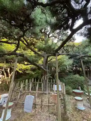 玉鉾神社(愛知県)