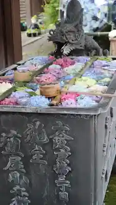 柳谷観音　楊谷寺(京都府)