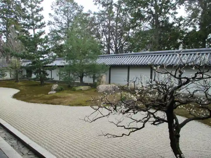 龍泉菴(京都府)