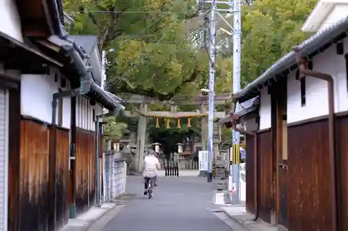 泉穴師神社の鳥居