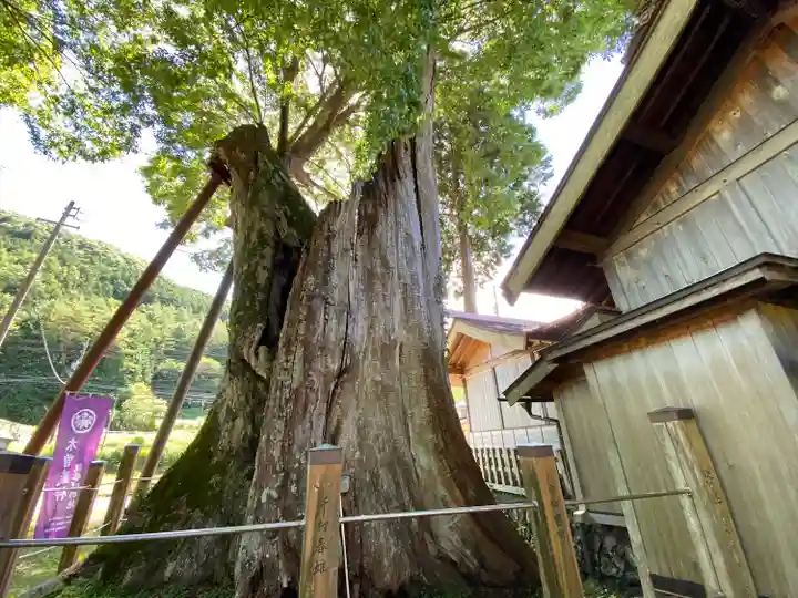 旗挙八幡宮の自然