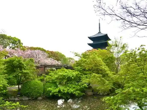 東寺（教王護国寺）の庭園