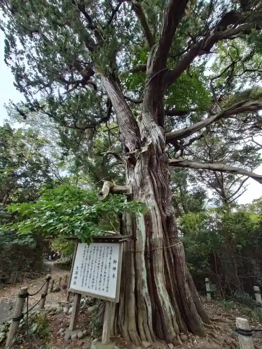 大瀬神社(静岡県)
