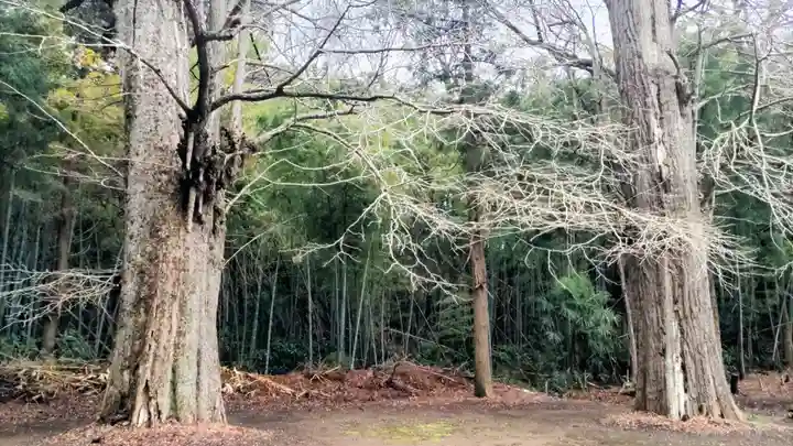 葦不合神社(千葉県)