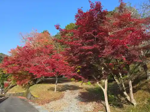大呂神社(京都府)
