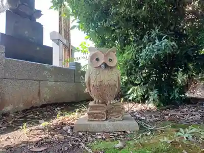 東圓寺(埼玉県)