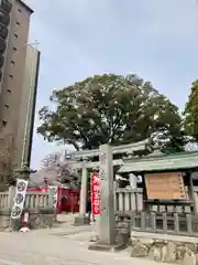 菅生神社の建物その他