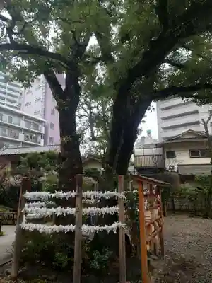 蒲田八幡神社(東京都)