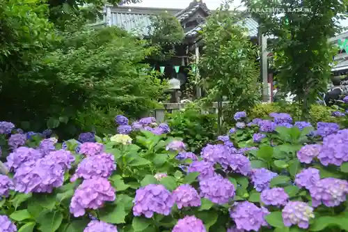 白山神社(東京都)