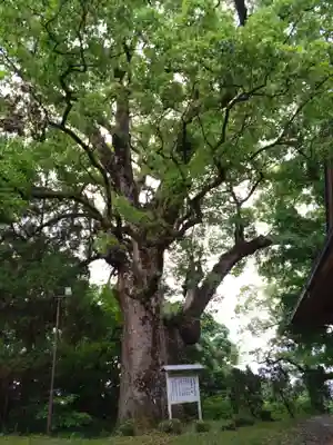 稲佐神社(佐賀県)