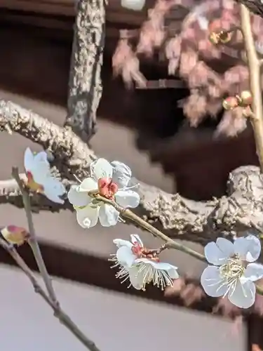 高円寺(東京都)