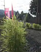 高司神社〜むすびの神の鎮まる社〜(福島県)