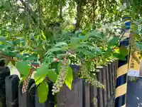 安光賀稲荷神社(福島県)