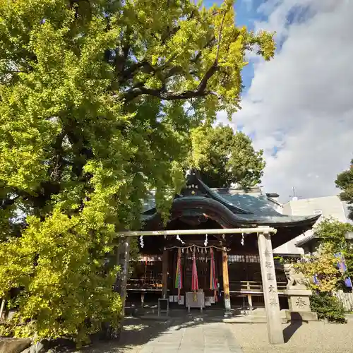 白山神社の本殿