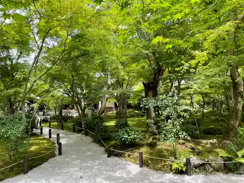 圓光寺(京都府)